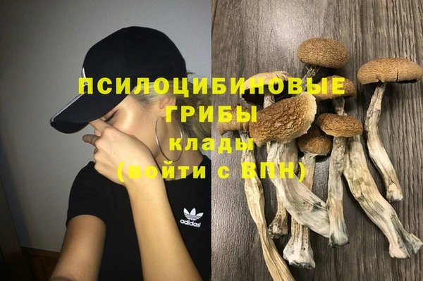 ALPHA PVP Кукмор